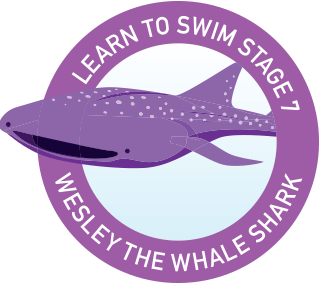 swimming lessons